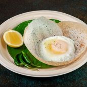 Egg hopper