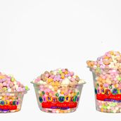 Mixed Ice Cream Cup