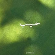 Heeb