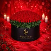 Royal Scarlet Delight