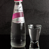San Benedetto Sparkling Water 250 ML