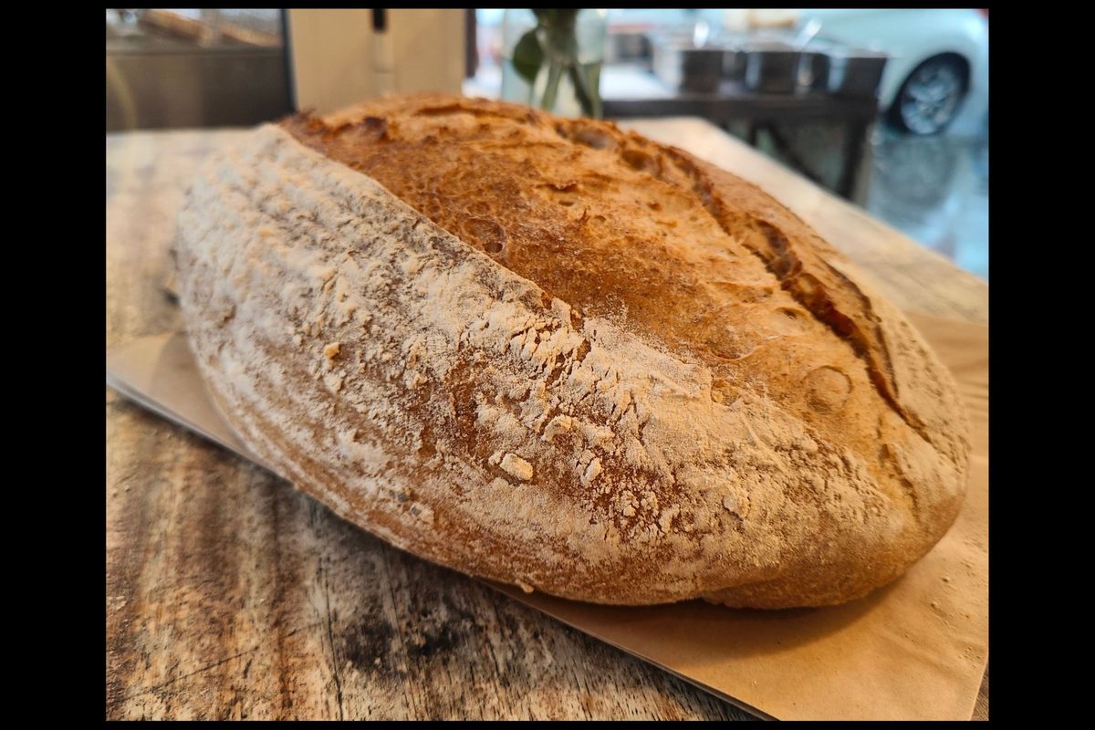 Medium sourdough