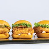 Fillet Slider