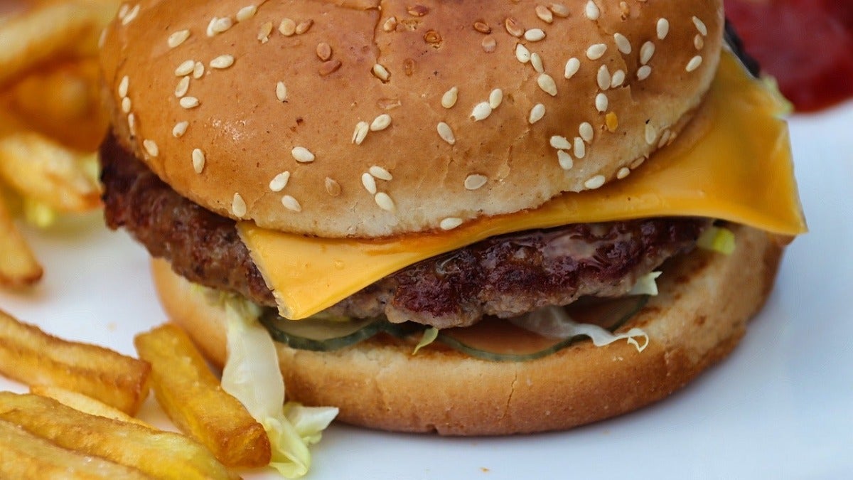 Cheese Burger