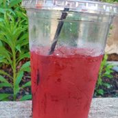 Red Bull Blueberry