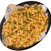 Special Cheddar Cheese Fries