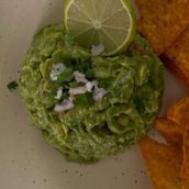 Avocado 