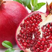 Pomegranate