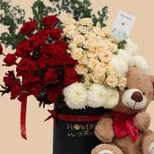 Grand Elegance – Teddy Edition