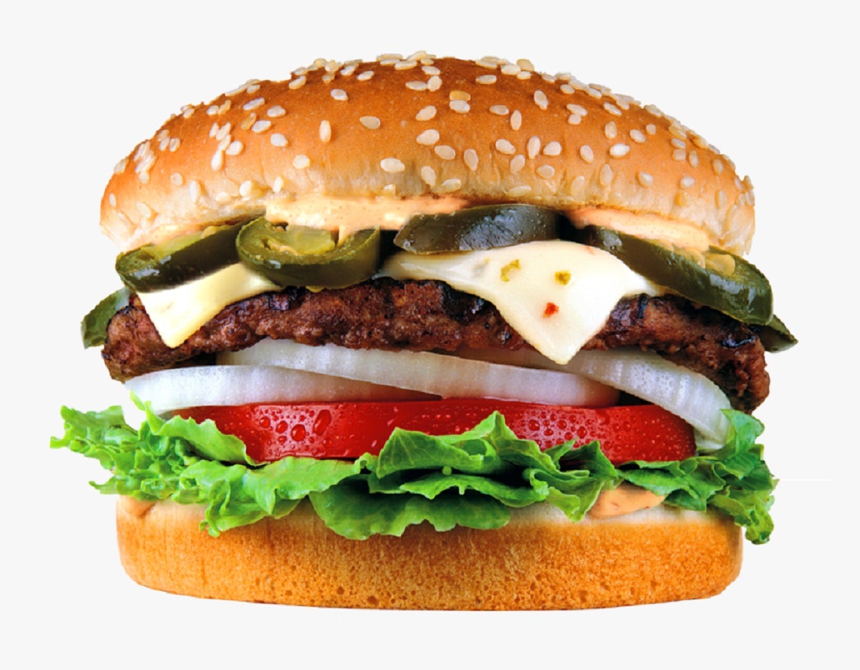 Mexican Burger