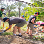 Support Farmers in the UAE