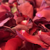 Petals Bag