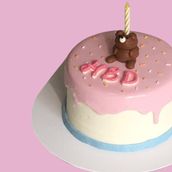 Snw Nw Bear Cake