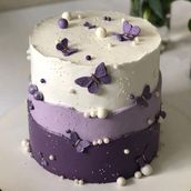 butterfly cake9
