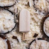 Coconut