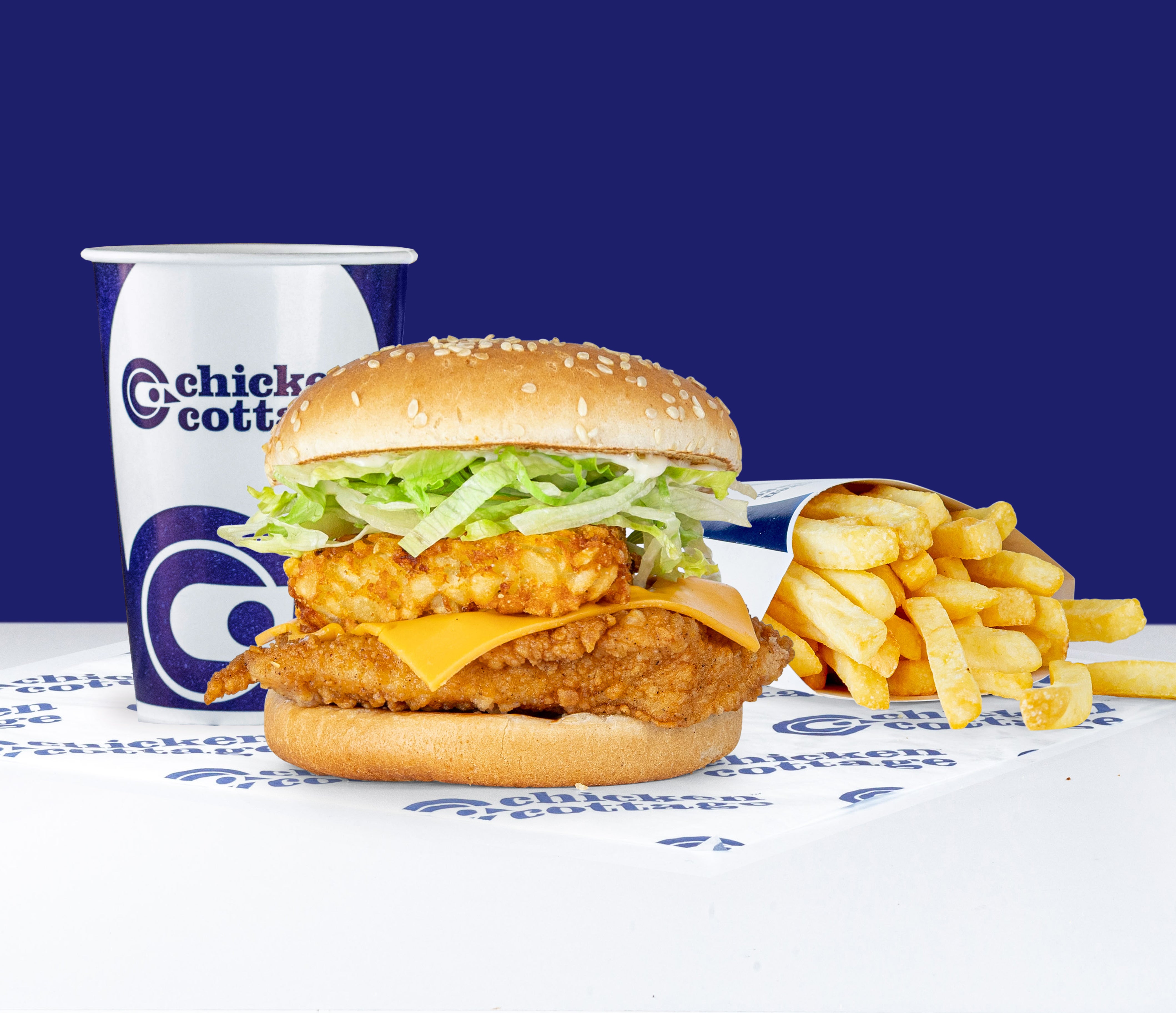 Mountain Burger Meal
