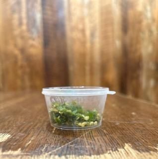 Green Chili (O)