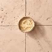 Onion + Vinegar