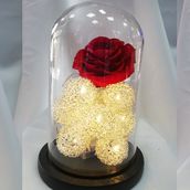 Eternal rose, wonderful design medium size