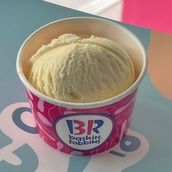 Baskin Robbins Vanilla