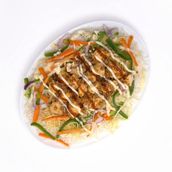 Singaporean Biryani plus Raita