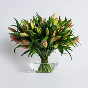 Pink Beauty Glass Vase
