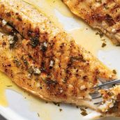 sea bass grilled 