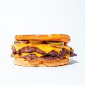 BCheesy Jr.