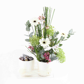 Chocolates And Flowers Cup