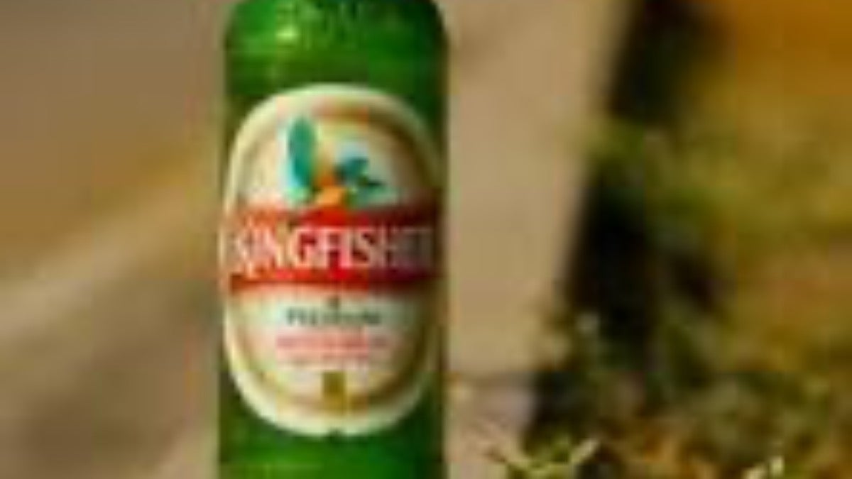 Kingfisher, India 330 Ml 4.8% ABV