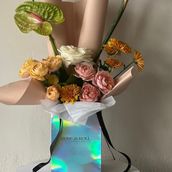 Tropical Muse 