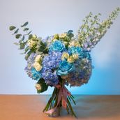 Oh Blue Breeze!