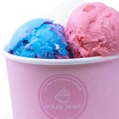 Two Scoops Of Ice Cream