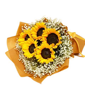 7 Pc Sunflower Gypsophilia Bouquet