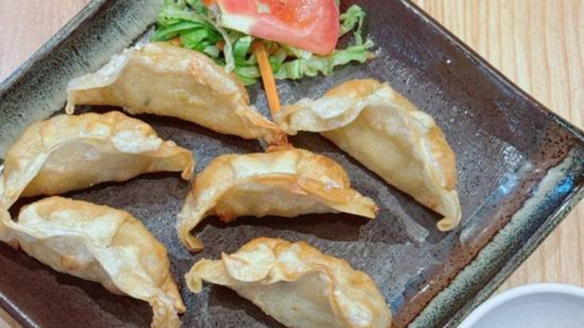 Chicken Gyoza 鸡饺子