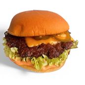 Spicy Cheeseburger