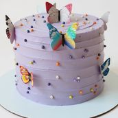 Purple Butterfly Cake