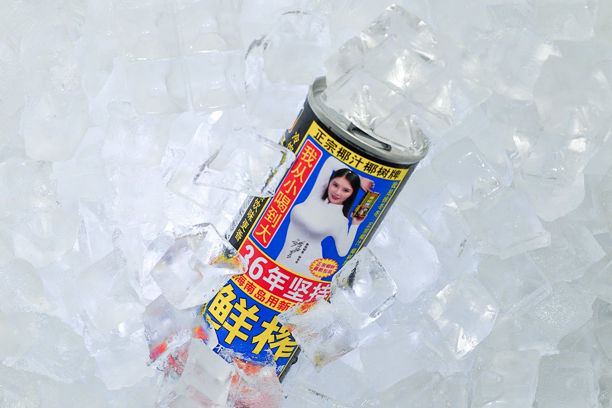 Coconut Milk (245ml) 椰树牌椰汁