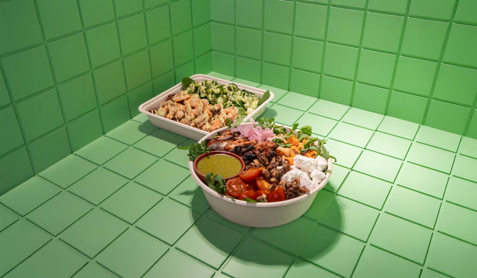 The Salad Project