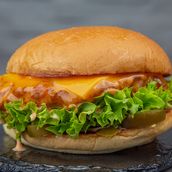 Fly Burger Sandwich