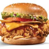 Texas Chicken Burger