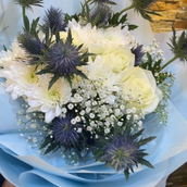Aquatic Variety Of Flowers