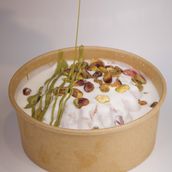 Koushry Pistachio