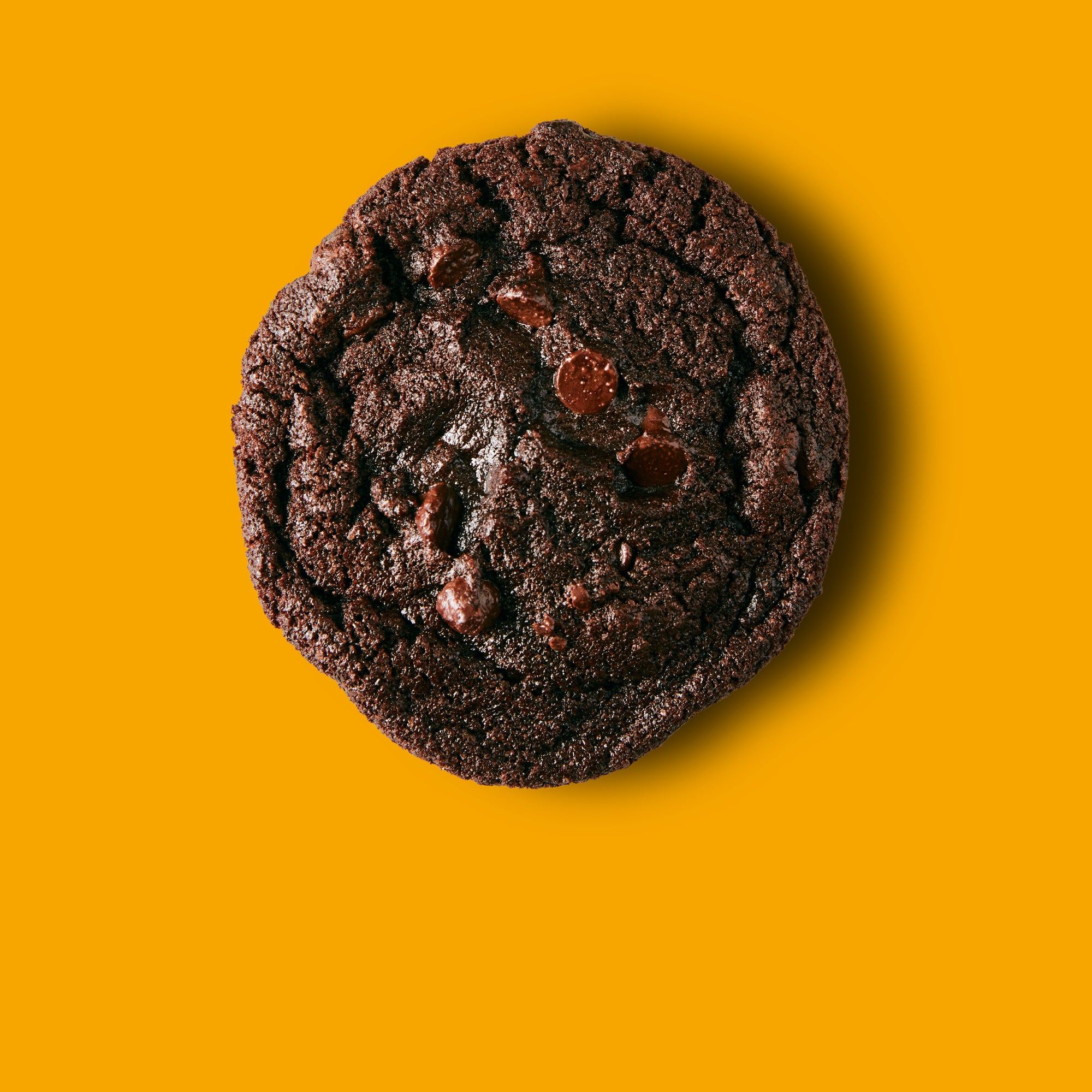 Double Choc Cookie