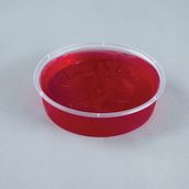 Jelly Pudding