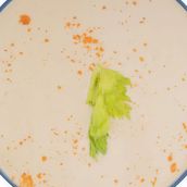 Tahini