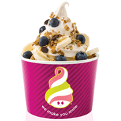 X Large Froyo Cup - 425 Grams