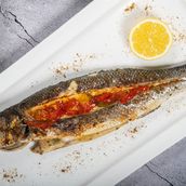 Sea Bass