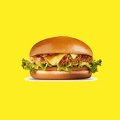 Chicken Zinger Burger