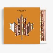 FrischSchoggi™ Sticks Autumn Pack Max